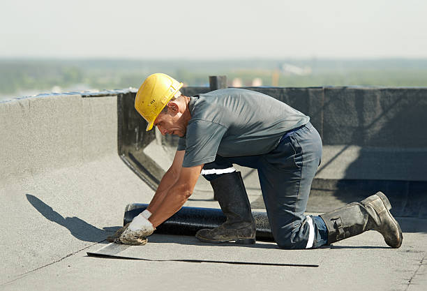 Best Cellulose Insulation in Lakemore, OH