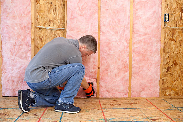 Best Residential Insulation in Lakemore, OH